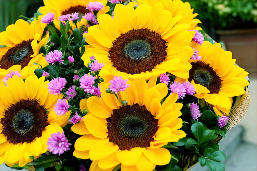 How to Prolong the Life of Your Sunflower Bouquet