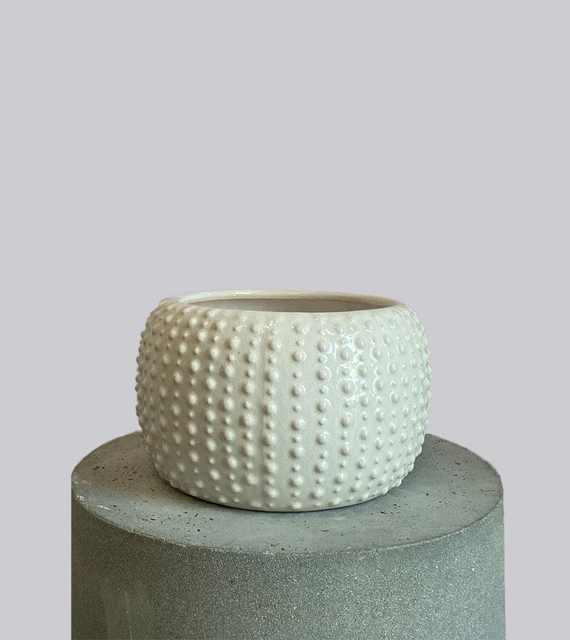 Ceramic White Dotted Vase