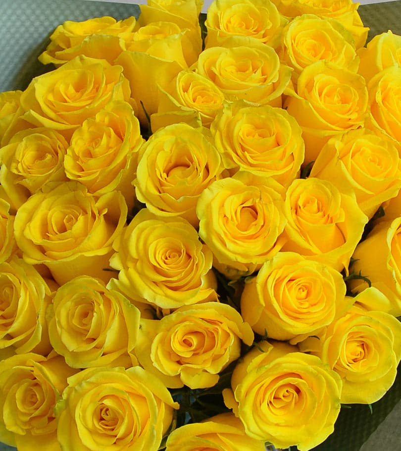 36 Yellow Roses