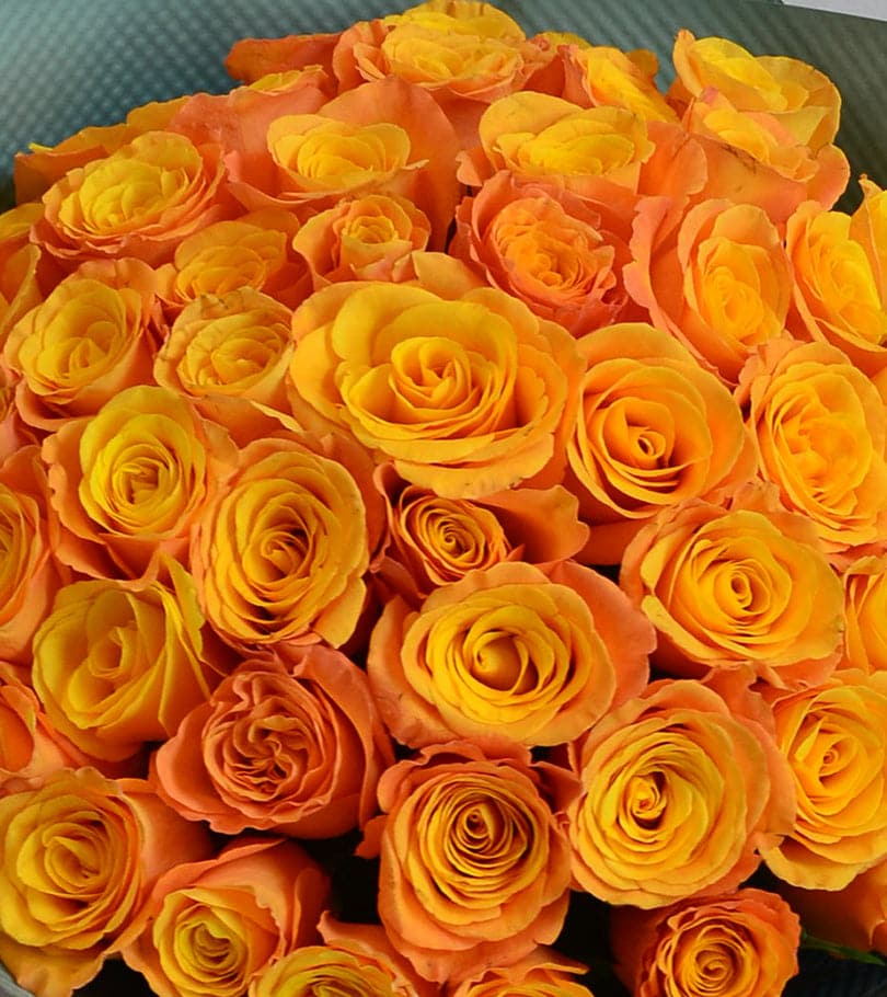 50 Orange Roses