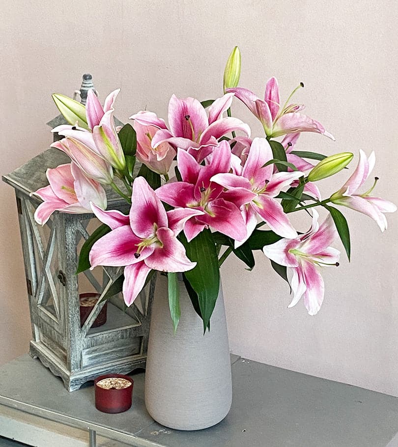 Bunch of Pink Lilies