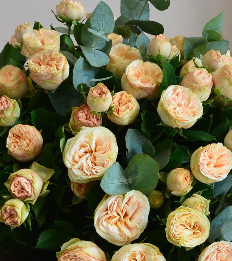 Peach Spray Rose Bouquet