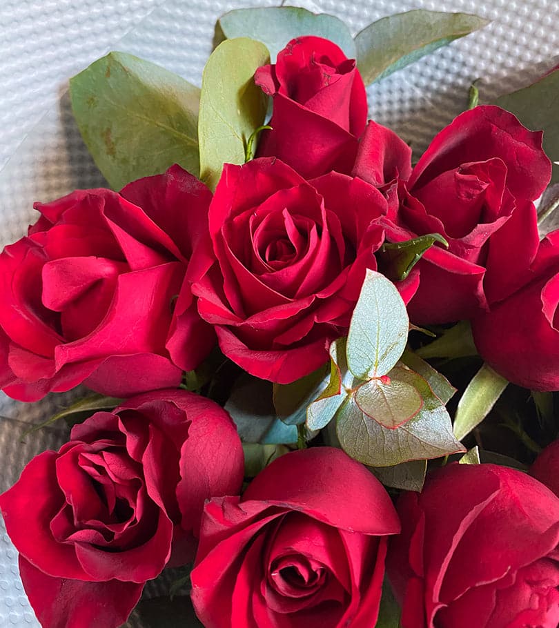 Bunch Of Red Roses  800 Flower – Hello Blooms